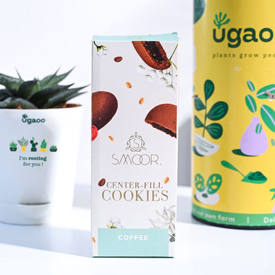 Aloe Vera Star Anniversary Gift Hamper