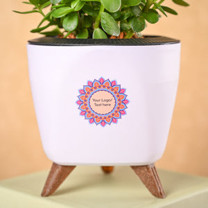 Jade Mini & Epiphany Diwali Gift Hamper