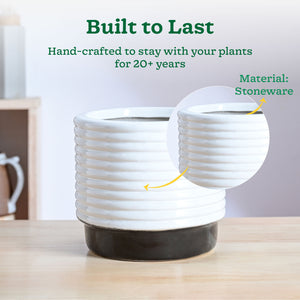 Untold stories Ceramic Planter