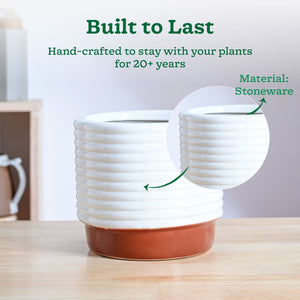 Untold stories Ceramic Planter