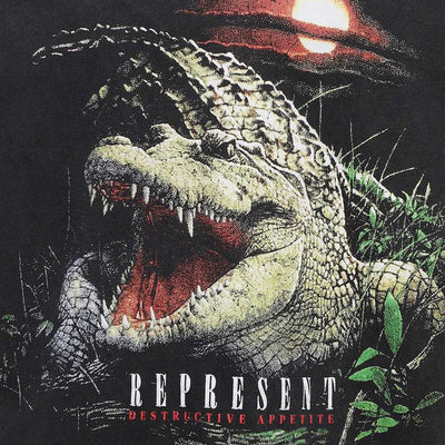 Represent | DESTRUCTIVE APPETITE T-SHIRT  { VINTAGE GREY