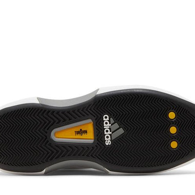 adidas Crazy 1 Stormtrooper (2022)