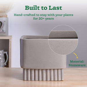 Immortal Nights Ceramic Planter