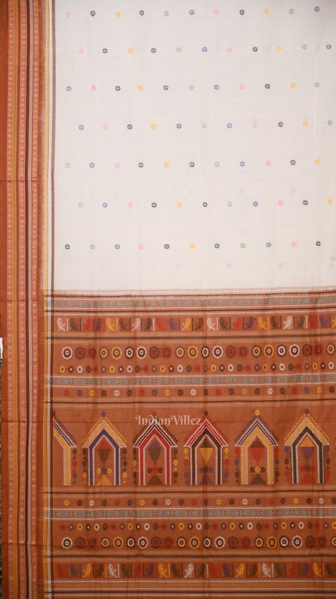 White Brown Dolabedi Sambalpuri Ikat Cotton Saree