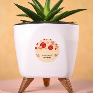 Aloe Vera Mini Plant & Phool Diwali Gift Hamper