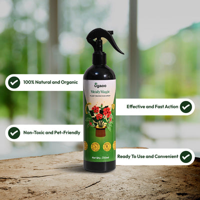 Mealybug Magic Spray for Plant Protection