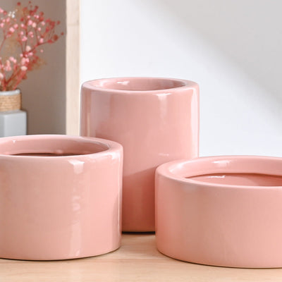 Lilac Stories Bundle - Light Pink