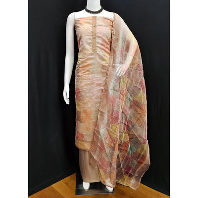 Chikoo Embroidered Organza Dress Material