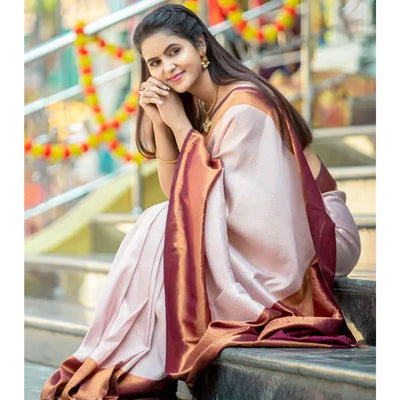 Chikoo Woven Banarasi Silk Saree