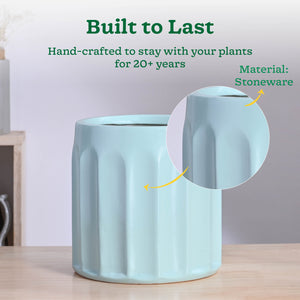 Blushing Sun Ceramic Planter