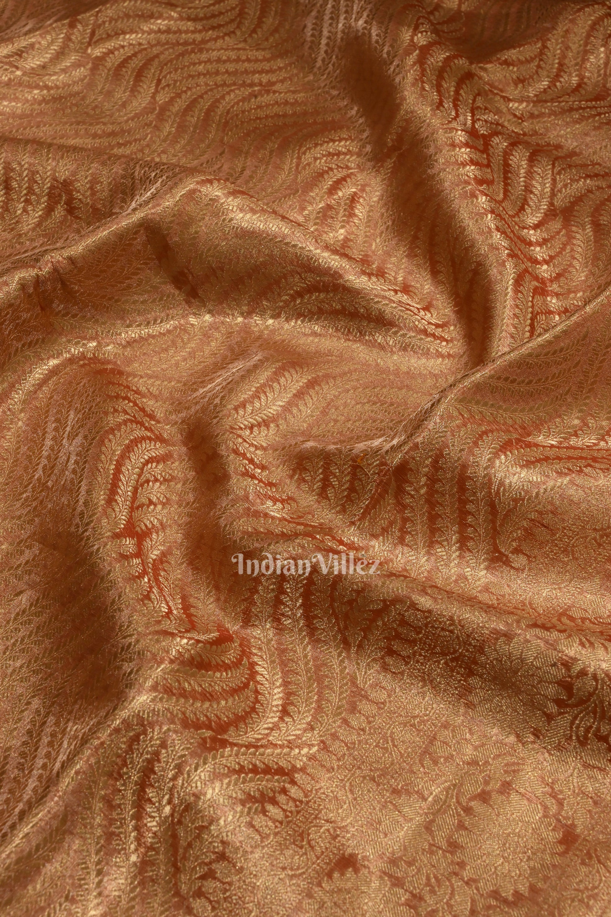 Beige Red with Golden Brocade  Tissue  Banarasi Saree