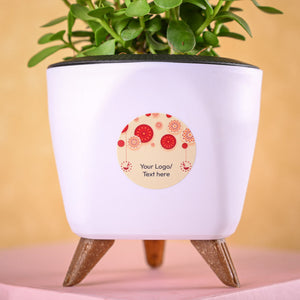 Jade Mini & Nutki Gourmet Nut Mix Diwali Gift Hamper