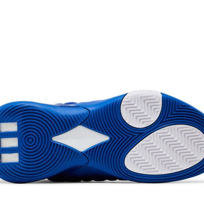 adidas Harden Vol. 7 Royal Blue