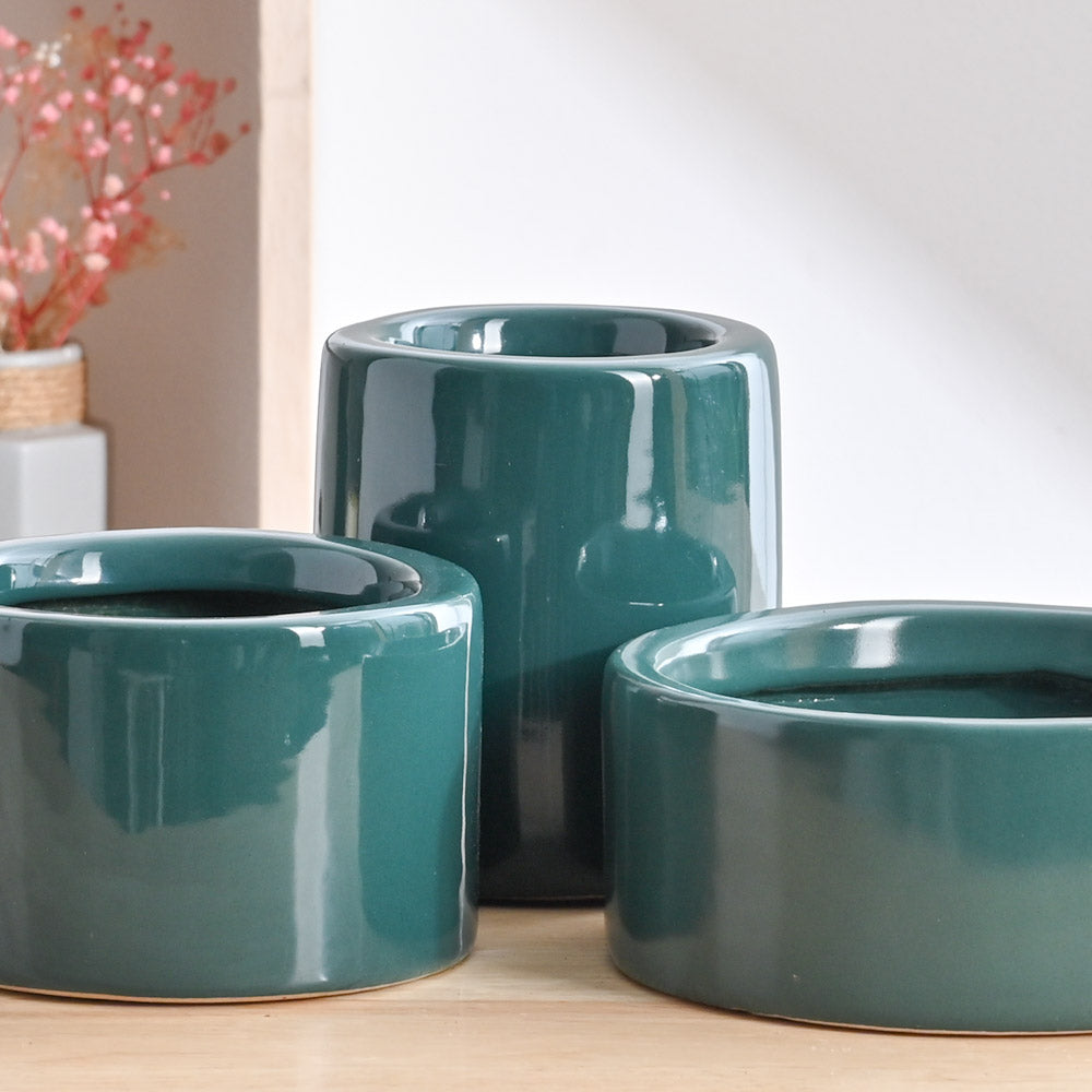 Lilac Stories Bundle - Dark green