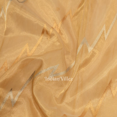 Peach Pure Kora Organza Banarasi Saree