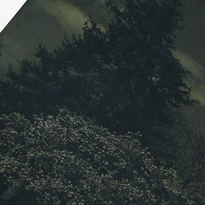 ALMOST GODS | ASSEMBLAGE TEE { GREEN