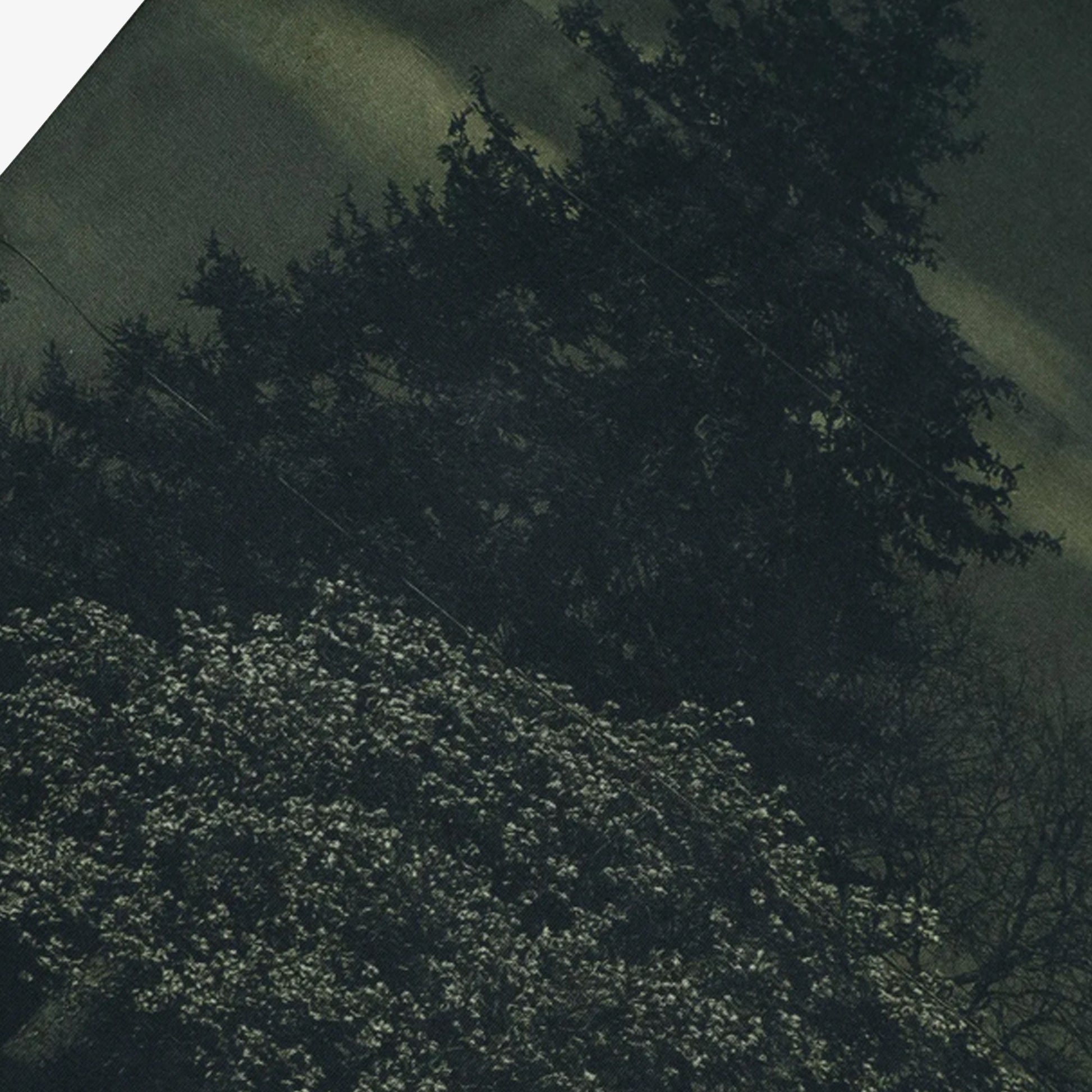 ALMOST GODS | ASSEMBLAGE TEE { GREEN
