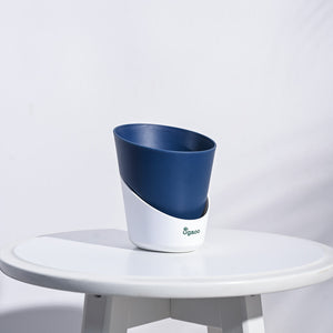 Atlantis Self Watering Planter - 4 Inch (Set of 5)