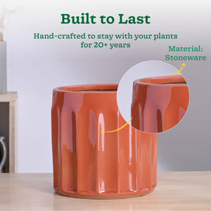 Blushing Sun Ceramic Planter