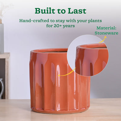 Blushing Sun Ceramic Planter