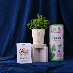 Plant & Crisps For Women's Day