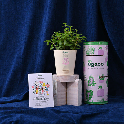 Plant & Crisps For Women's Day