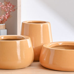 Tulip Fantasy Bundle - Sandal