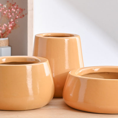 Tulip Fantasy Bundle - Sandal