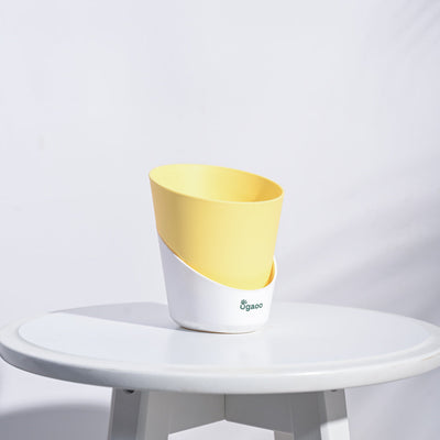 Atlantis Self Watering Planter - 4 Inch (Set of 5)