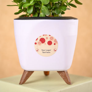 Jade Mini & Phool Incense Diwali Gft Hamper