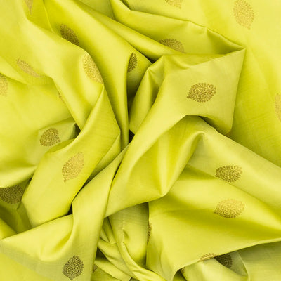 Pista Green Handloom Kanchipuram Silk Saree With Floral Motifs