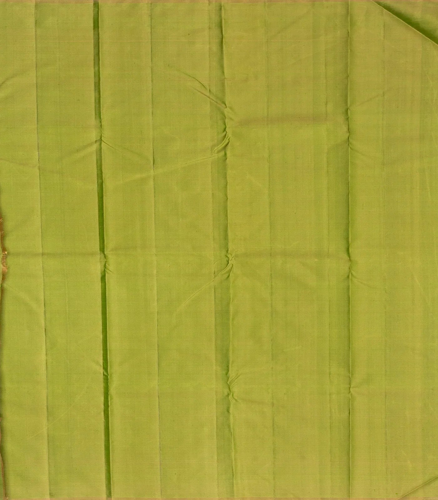 Taupe Handloom Kanchipuram Silk Saree With Buttas & Rising Border