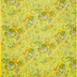 Light Green Woven Digital Printed Chiffon Silk Saree With Floral Motifs