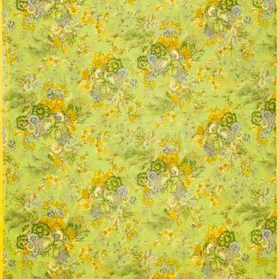 Light Green Woven Digital Printed Chiffon Silk Saree With Floral Motifs