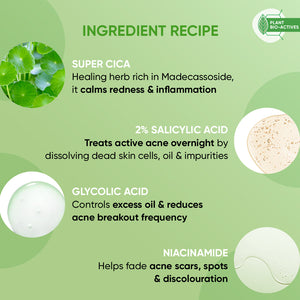 Acne Spot Correction Gel with 2% Salicylic + Cica