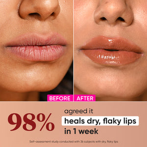Ceramide + Peptide Lip Balm SPF 50+ PA+++ (Tinted)