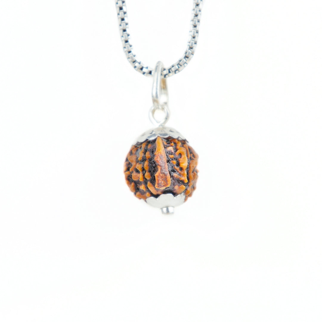 Silver Capping Ganesh Mukhi Rudraksha Pendant With Chain ( Nepali )
