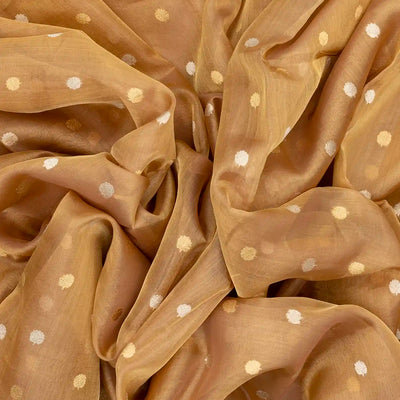 Gold Handloom Banarasi Tissue Silk Saree With Jaal Motifs