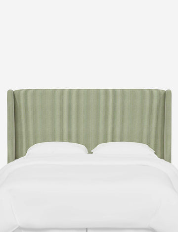 Olive Stripe
