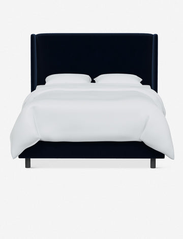 Navy Velvet
