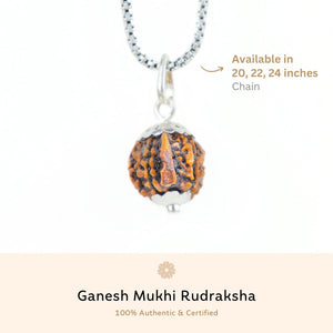 Silver Capping Ganesh Mukhi Rudraksha Pendant With Chain ( Nepali )