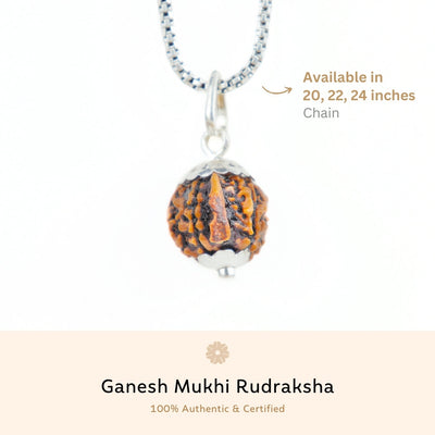 Silver Capping Ganesh Mukhi Rudraksha Pendant With Chain ( Nepali )