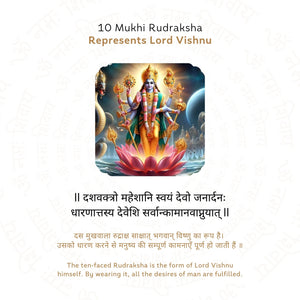 10 Mukhi Rudraksha ( Nepali )