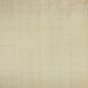 Cream Handloom Kanchipuram Tissue Silk Saree With Floral Motifs-Cream