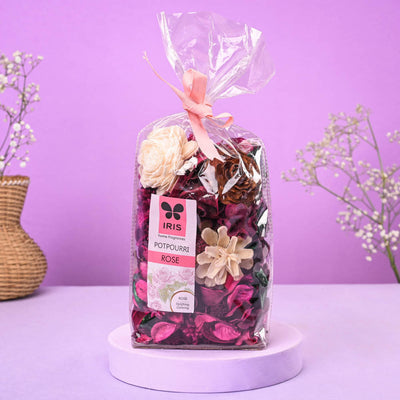 Variegated Money Plant Elegance Women's Day Gift