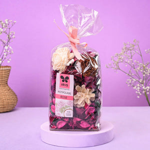 Variegated Money Plant Elegance Women's Day Gift