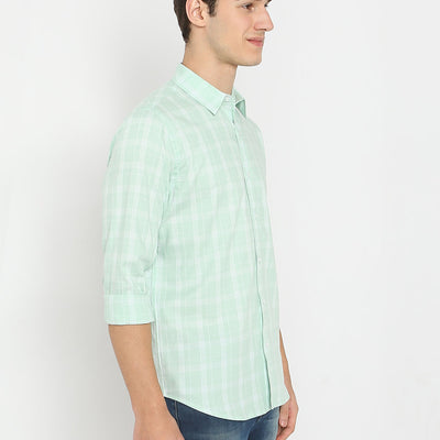 Casual Checks Shirt