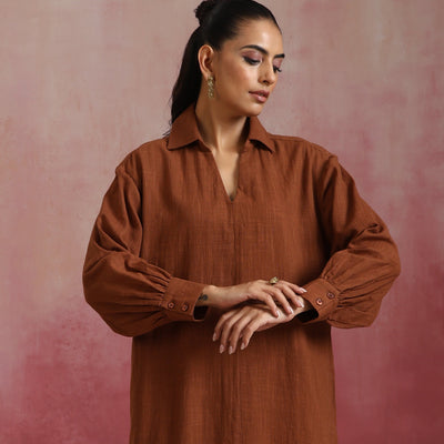 trueBrowns Brown Cotton Dobby Dress
