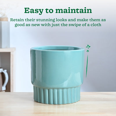 Immortal Nights Ceramic Planter