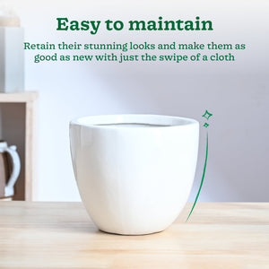 Echoing Eternity Ceramic Planter